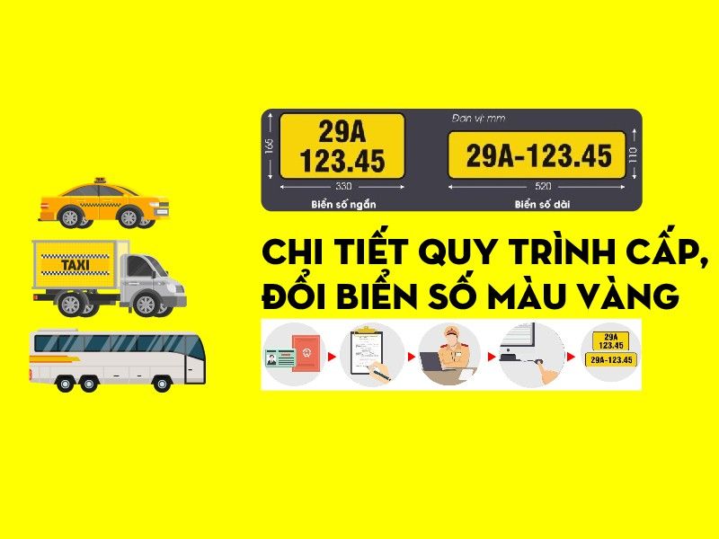 Dịch vụ biển số vàng, hộp đen, phù hiệu - Bảo Lộc, Lâm Đồng