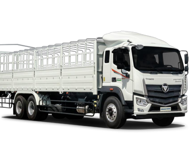 Xe nâng đầu 3 chân Auman C240